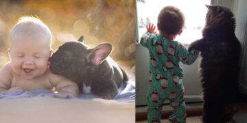 20 Sweet Pictures Showing Kids Should Have Pets