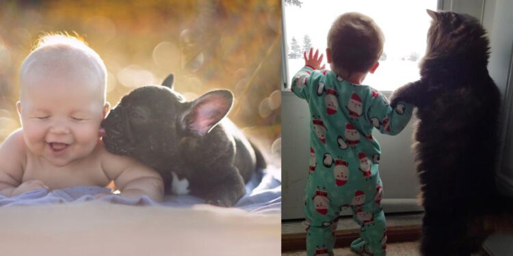 20 Sweet Pictures Showing Kids Should Have Pets