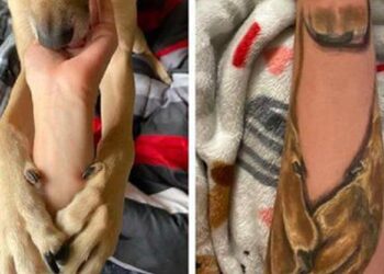 Woman Gets a Sweet Tattoo to Remember Her Dog.