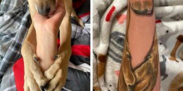 Woman Gets a Sweet Tattoo to Remember Her Dog.