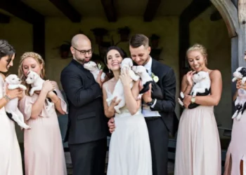 Brides Ditch Flowers for Puppies: The Heartwarming Wedding Trend Taking 2023 by Storm!