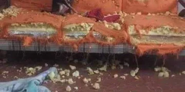 10 Hilarious Dogs That Decided to Be Bad Guys