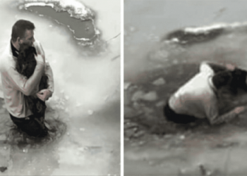 Heroic Act in Buffalo: Brave Man Saves Dog From Freezing Waters 