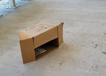 Texas Resident Finds A Box At The Post Office Saying ‘Free Puppy’.