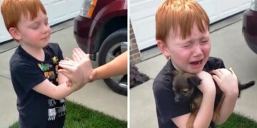 Young Boy Saves for a Puppy; Grandma Surprises Him with a Heartwarming Gesture.