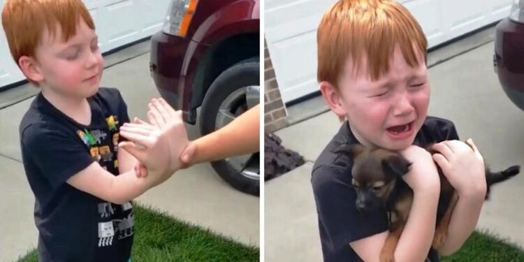 Young Boy Saves for a Puppy; Grandma Surprises Him with a Heartwarming Gesture.