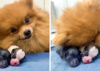 19 Images That Define the Role of a Mother