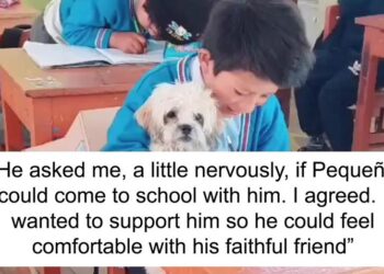 Student Experiencing Difficulties Asks If His Dog Can Attend School With Him