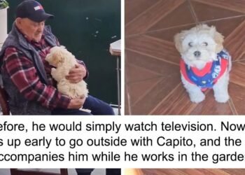 Granddaughter Gifts 96 Y.O. Grandfather A Dog, Witnesses His Amazing Transformation