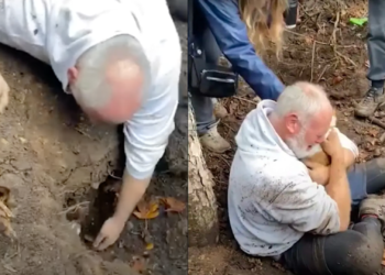 A Worried Owner Finds His Dog Stuck in a Hole After 50 Hours.