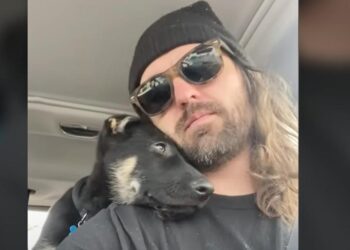 Man Adopts Unwanted German Shepherd Puppy, Offering a ‘Second Chance’