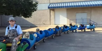 Old Man Constructs A Dog Train For His Adventurous Pups