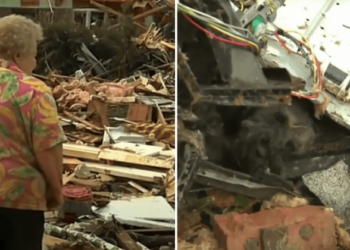 Woman Searches for Her Dogs in Her Tornado-Destroyed Home.