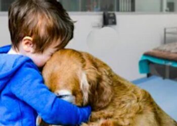 Young Boy’s Embrace of His Dog Who Has Cancer Achieves ‘The Impossible’