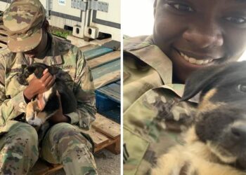 Army Sergeant Meets Again with Puppy She Rescued Abroad