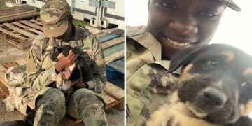 Army Sergeant Meets Again with Puppy She Rescued Abroad