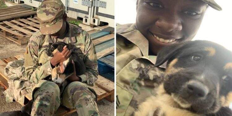 Army Sergeant Meets Again with Puppy She Rescued Abroad