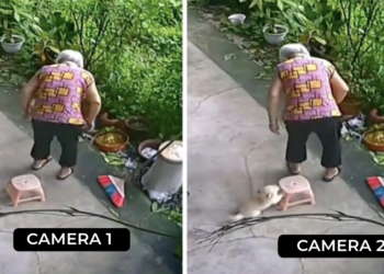 Tiny Dog Assists Elderly Woman To Take a Seat