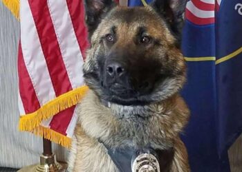 Police Dog Gets His Final Farewell on Radio Call