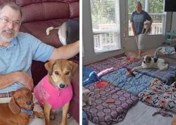 This Man Made a Place to Help Old Dogs That Couldn’t Find a Home.