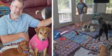 This Man Made a Place to Help Old Dogs That Couldn’t Find a Home.