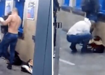 Guy Sees Stray Dog Shivering In The Cold Takes Off His Shirt And Puts It On Him