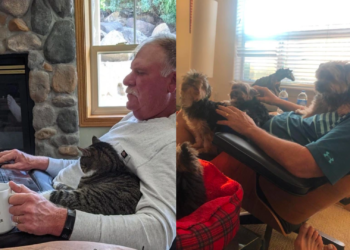 18 Fathers Who Rejected Pets at First Yet Adored Them Completely