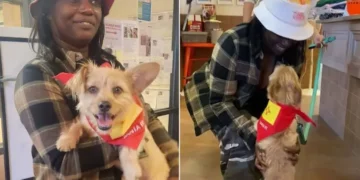 Owner Crosses Country for Reunion With Missing Dog After 17 Days