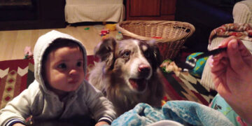 Mom Tries to Make Her Baby Say ‘Mama,’ but the Dog Amusingly Says It Before the Baby.