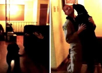 Dog Sees Her Dad After A Long 6 Months Wont Stop Talking To Him