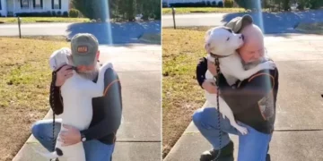 Adorable Rescue Dog Overwhelms Her New Owner with Endless Hugs