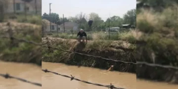 Police Captain’s Daring Rescue Saves Dog from Utah Canal