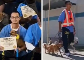 How Prisoners and Dogs Assist Each Other in Reintegrating into Society