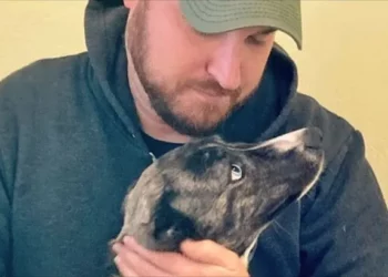 Rescued Mama Dog Transforms Into Ultimate Co-pilot Companion