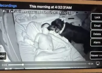 Adorable Puppy Secretly Enters Brother’s Room, Captured on Camera with a Touching Goal