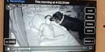 Adorable Puppy Secretly Enters Brother’s Room, Captured on Camera with a Touching Goal