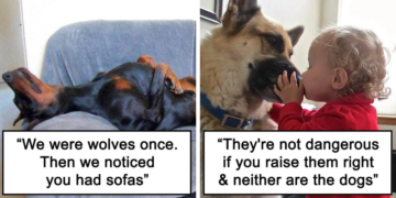 30 Heartwarming Tweets Celebrating Dogs as Man’s Loyal Companions