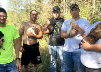 They Gave Up Their Bachelor Party to Rescue Puppies in the Woods