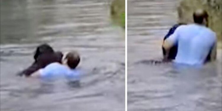 Man Leaps into Zoo Enclosure to Rescue Chimp After Staff Refuse to Help