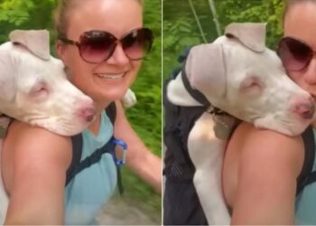 Great Dane Puppy Cuddles with Woman Who Loves Him Despite His Challenges