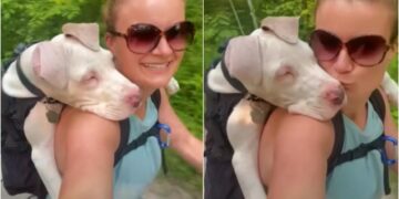 Great Dane Puppy Cuddles with Woman Who Loves Him Despite His Challenges