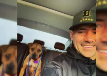 Detroit Police Officer Saves a Pit Bull Tied to a Porch in Freezing Weather