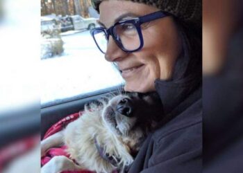 Small Dog Trapped in a Freezing Hut Rescued Just in Time