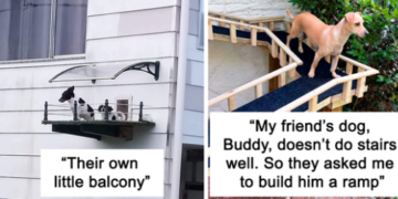 25 Moments Dogs Deserved Luxurious Houses And People Accepted The Challenge