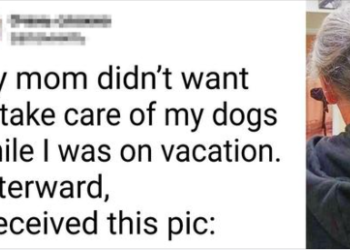 15 + Moms Who Went From Saying ‘No Pets’ to ‘Can’t Live Without Them’