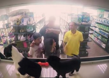 Pet Store Swaps All Animals for Rescues for a Day