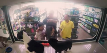 Pet Store Swaps All Animals for Rescues for a Day