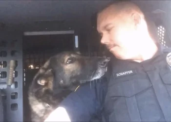 K-9 Officer Faust Honored with Final Radio Call After 8 Years of Service