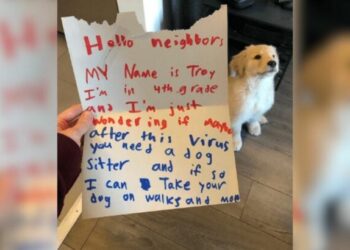 The Internet Is Melting Over This Fourth-Grader’s Heartfelt Letter to His Neighbor’s Dog