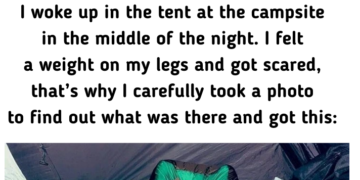 14 Unplanned Animal Encounters That Left People in Awe